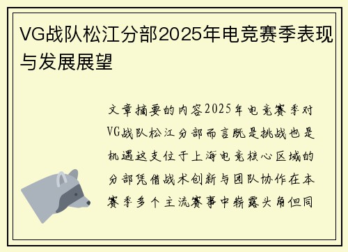 VG战队松江分部2025年电竞赛季表现与发展展望