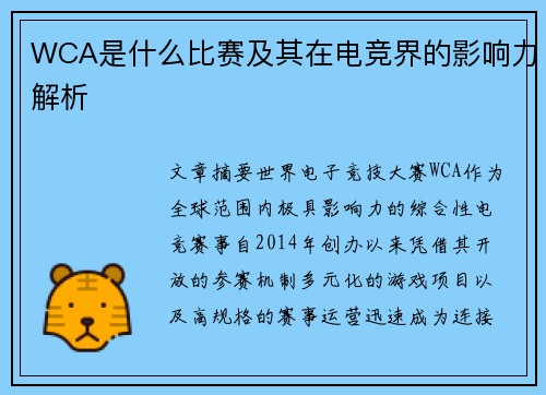 WCA是什么比赛及其在电竞界的影响力解析